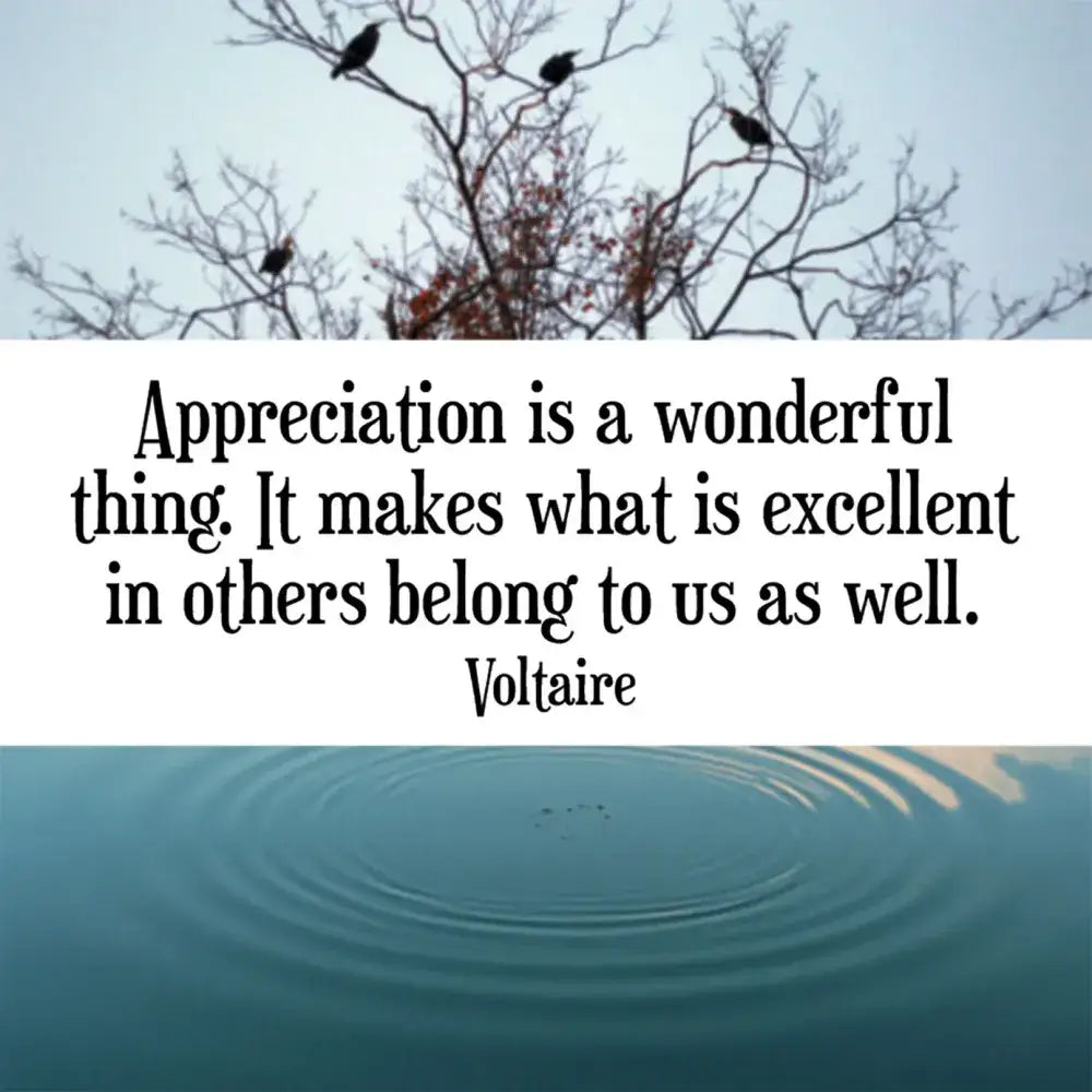 Thank You Notes - 60 Heartfelt Messages of Appreciation