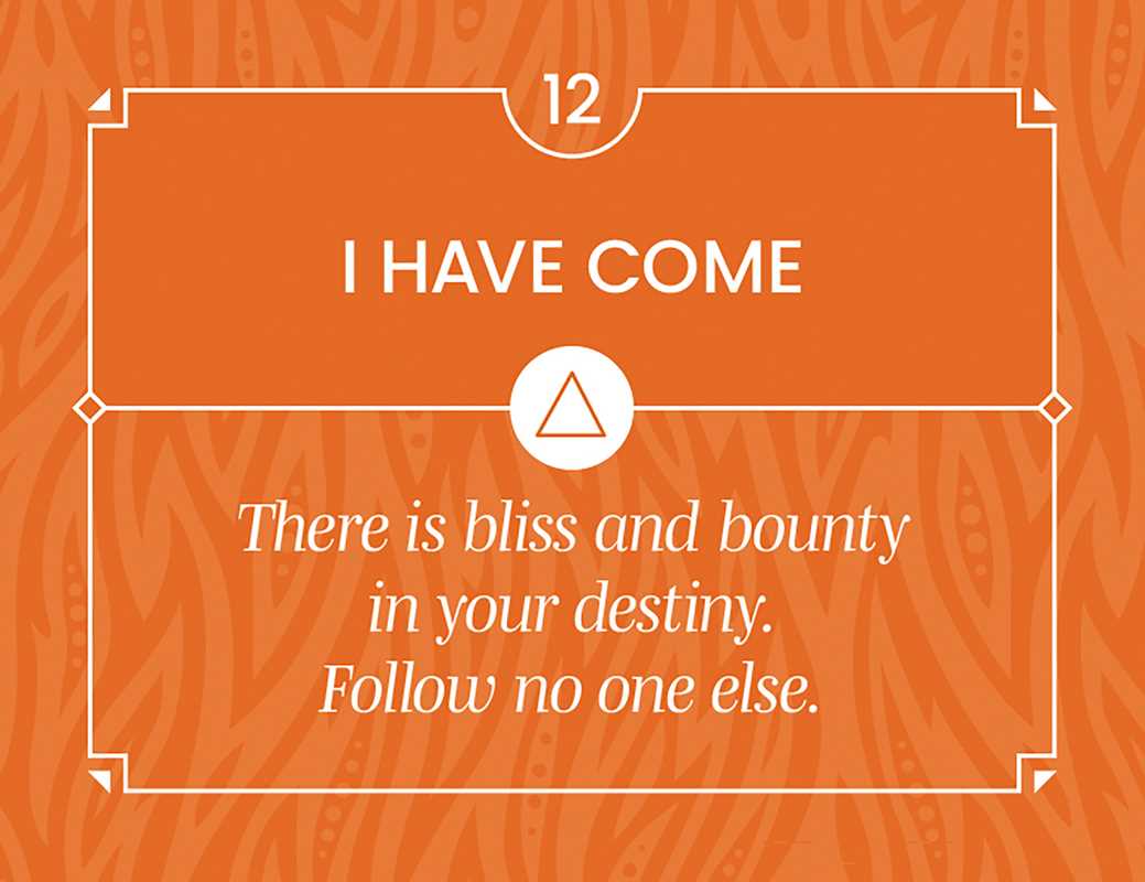 Wild Bohemian by Akal Pritam: Flashcards; 40 pages / English