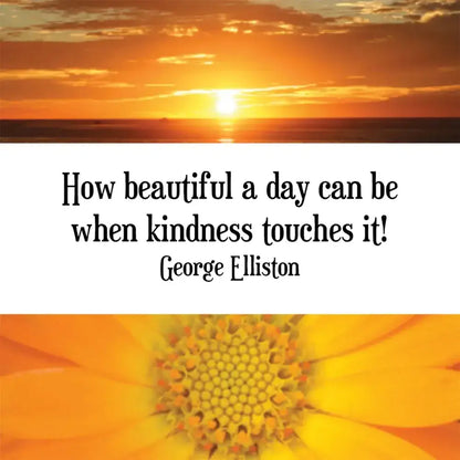 Thank You Notes - 60 Heartfelt Messages of Appreciation