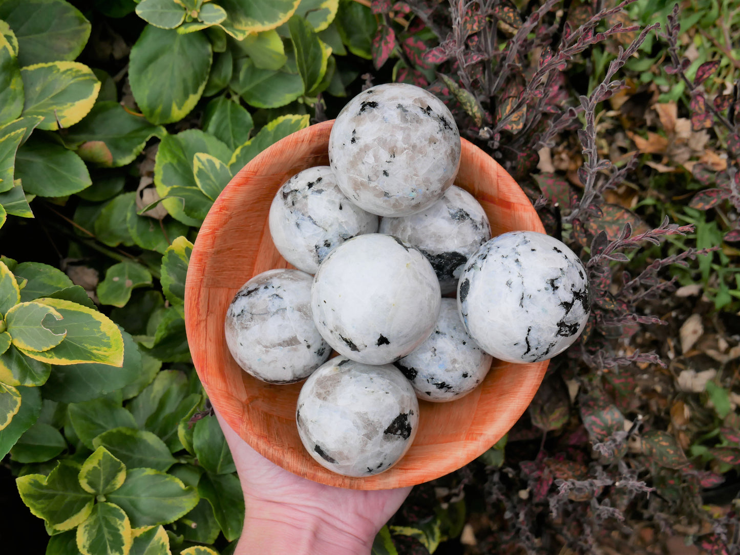 Rainbow Moonstone Spheres - 1 Kilo