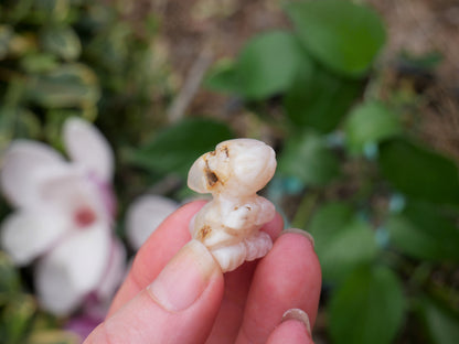 Flower Agate Rabbit - Spirit Animals