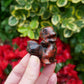 Mahogany Obsidian Pokeman