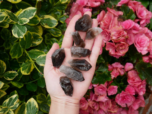 Smokey Quartz Points