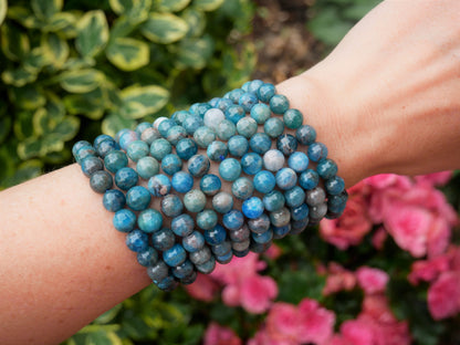 Apatite Beaded Bracelet 8mm