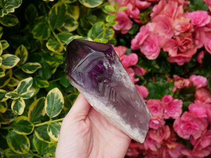 Amethyst Dragon Tooth Point