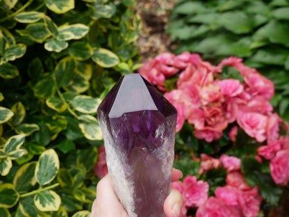 Amethyst Dragon Tooth Point