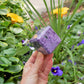 Charoite LARGE Cubes