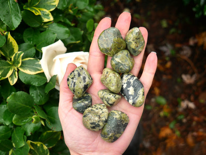 Serpentine Tumbled Stones