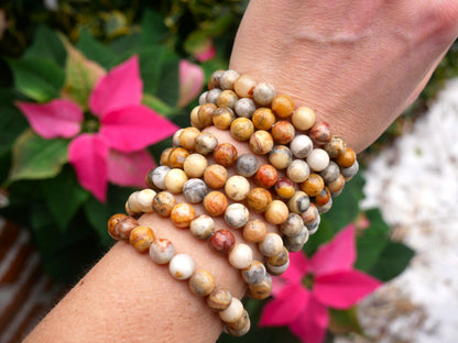 Crazy Lace Agate Beaded Bracelets 8mm