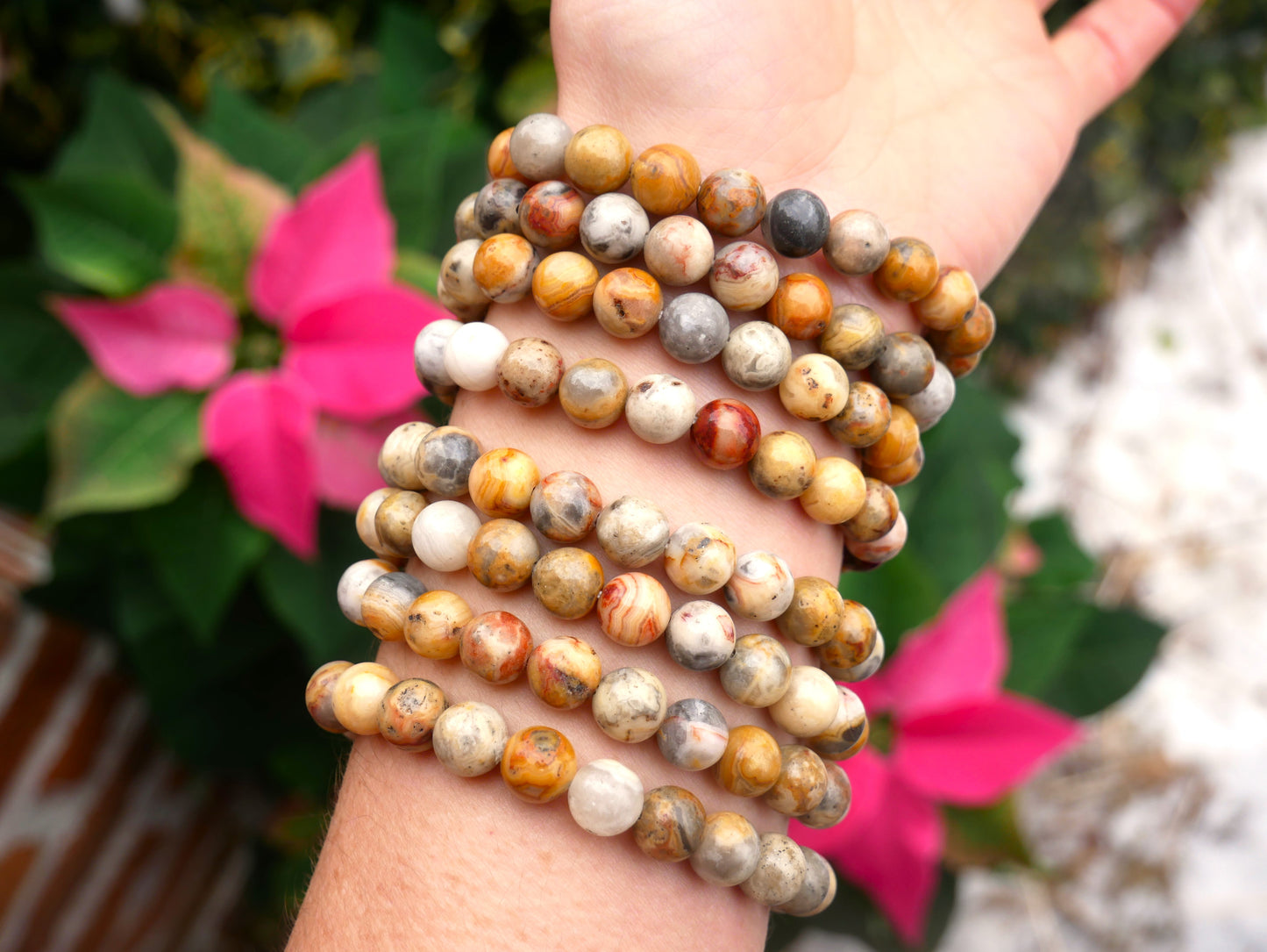 Crazy Lace Agate Beaded Bracelets 8mm