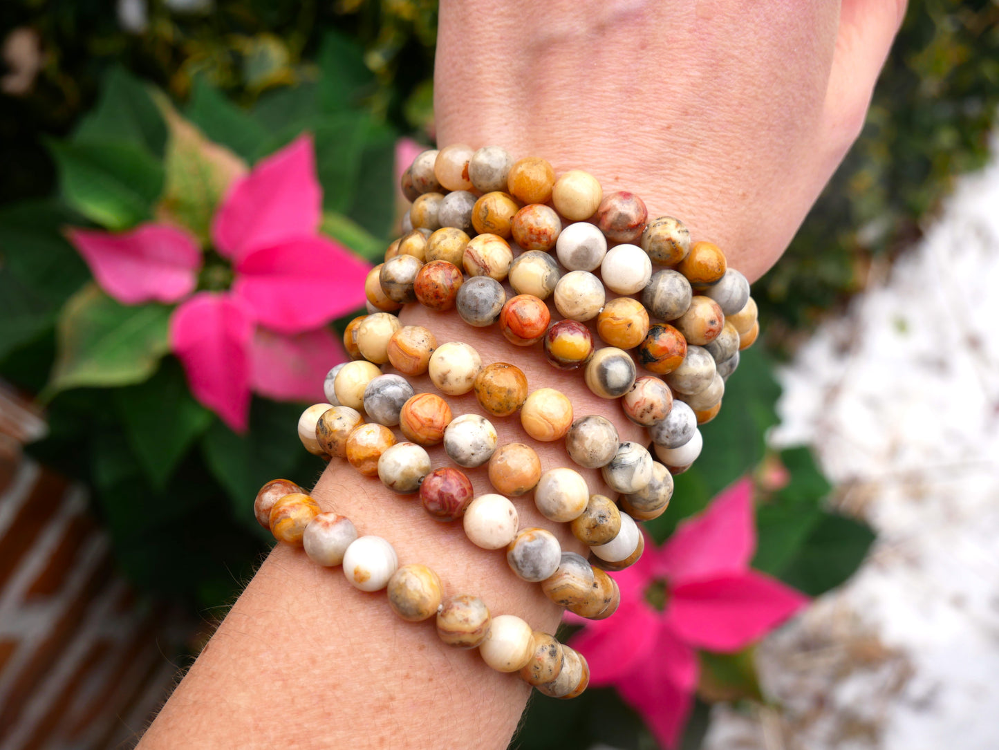 Crazy Lace Agate Beaded Bracelets 8mm