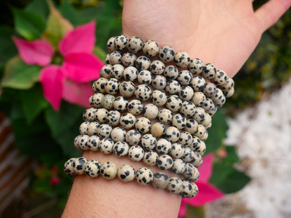 Dalmatian Jasper Beaded Bracelets 8mm