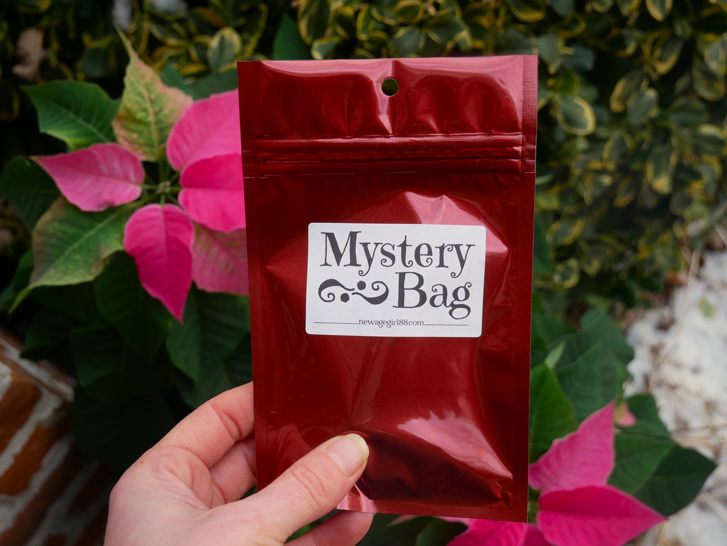 Mystery Bags