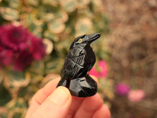 Black Calcite Raven