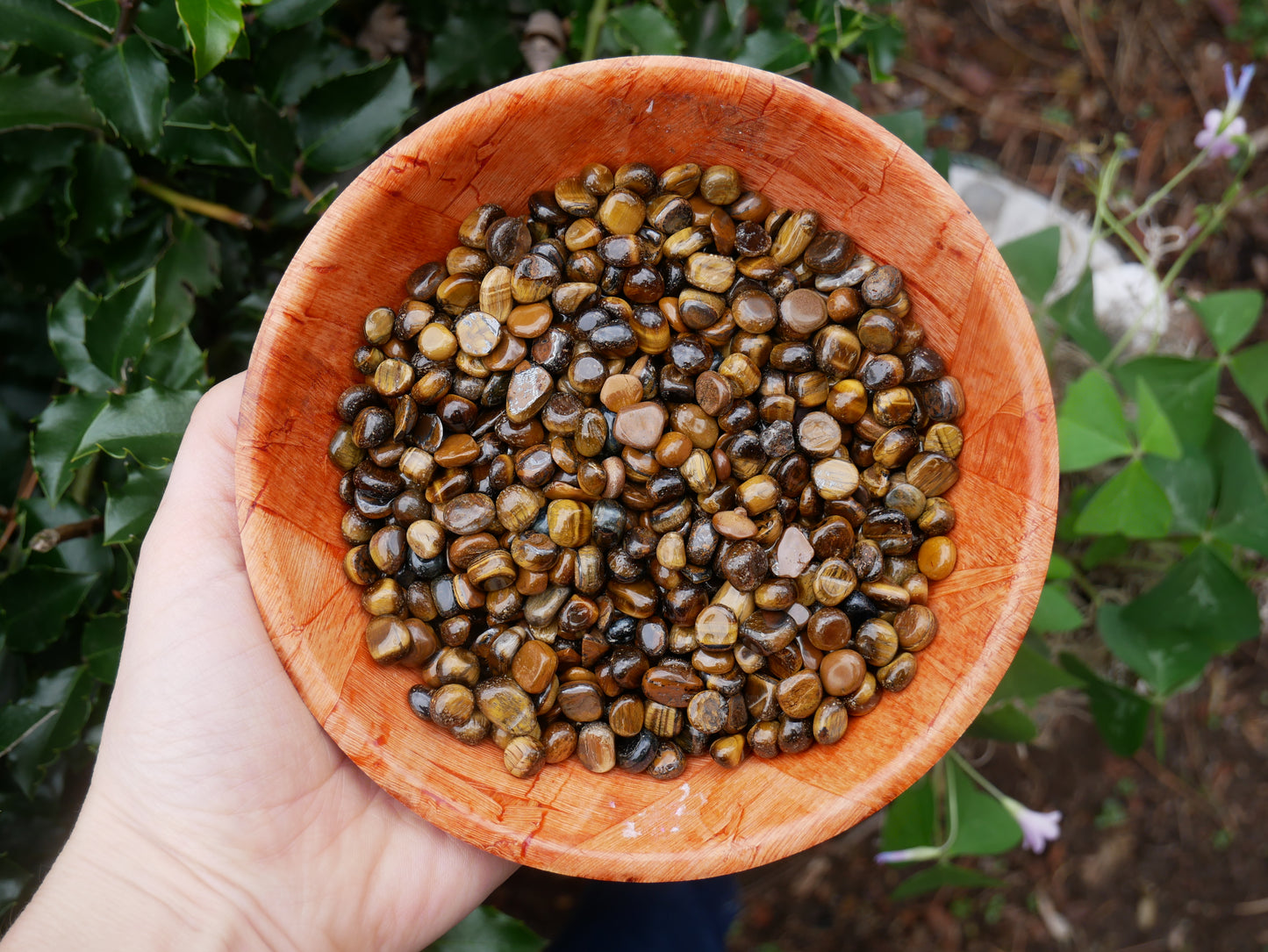 Tigers Eye Mini Stones - 1 LB