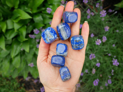 Lapis Lazuli Stones