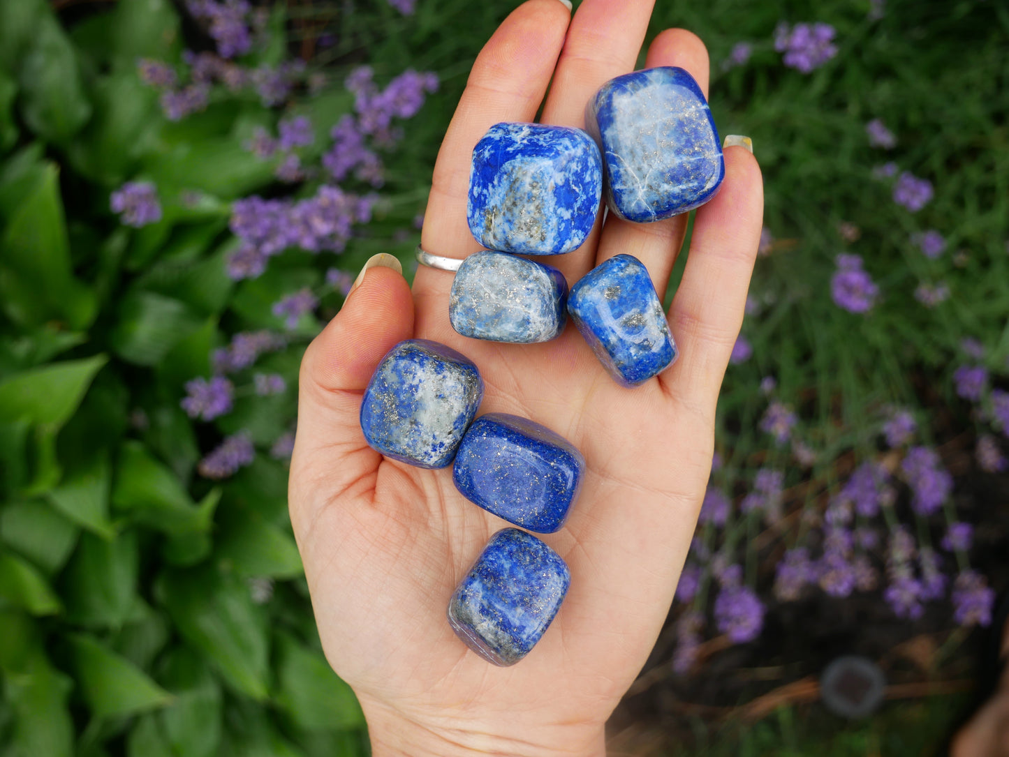 Lapis Lazuli Stones