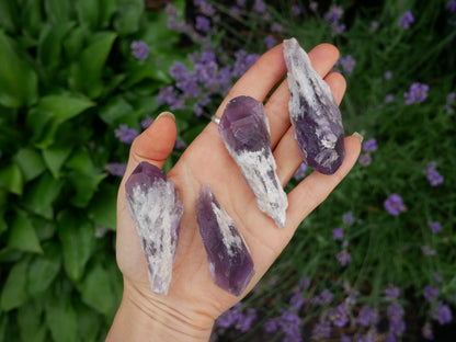 Amethyst Dragon Tooth Point