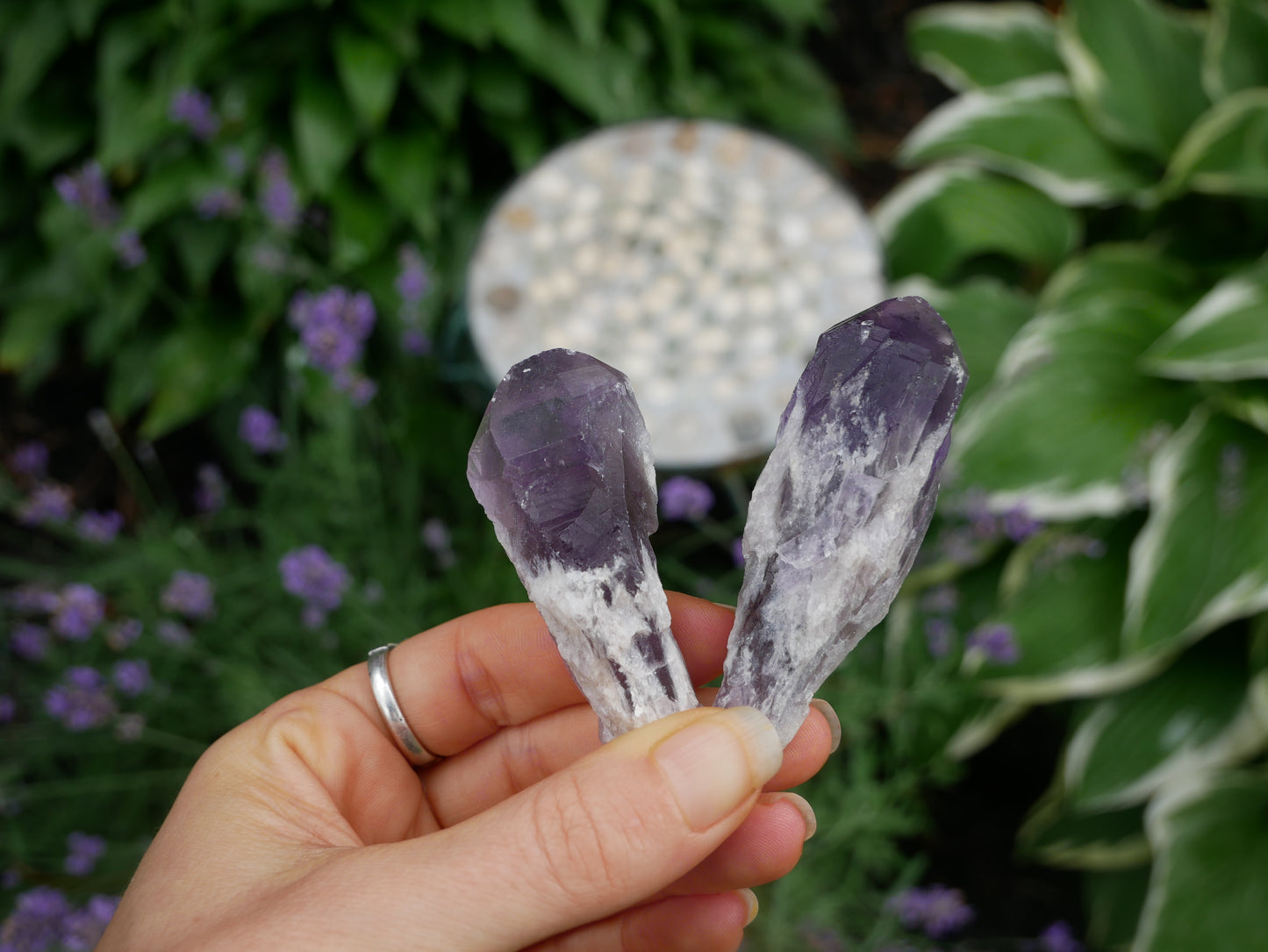 Amethyst Dragon Tooth Point