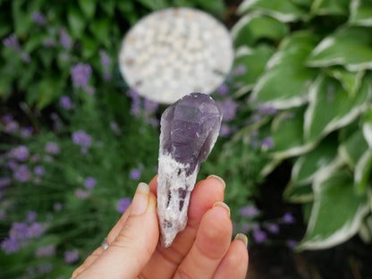 Amethyst Dragon Tooth Point