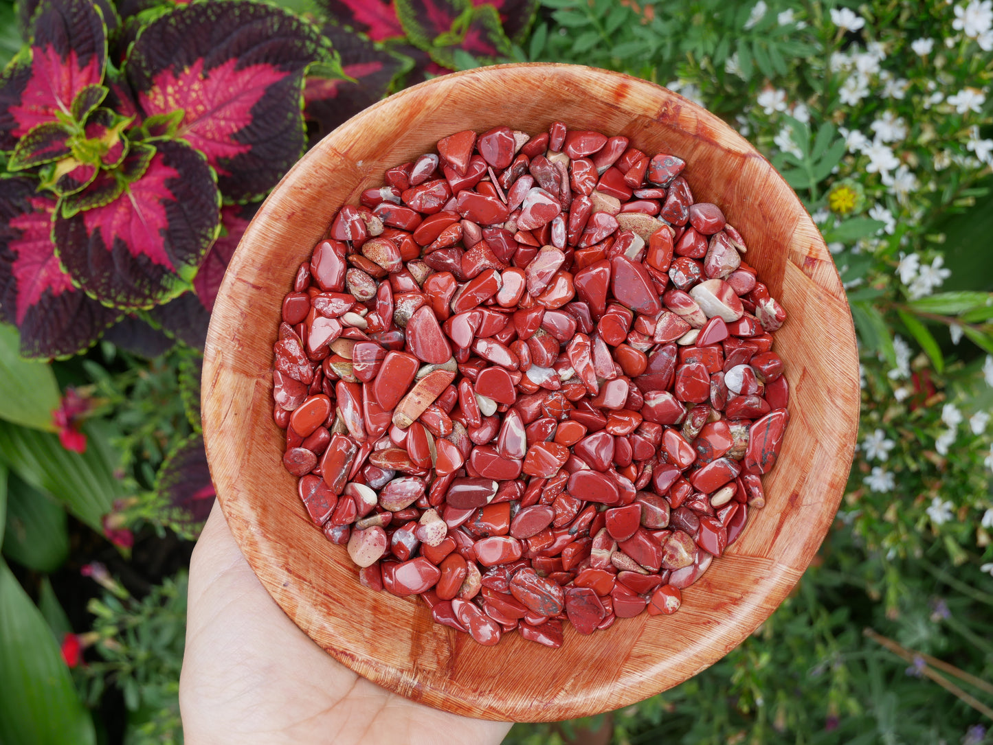 Red Jasper Mini Stones - 1 LB