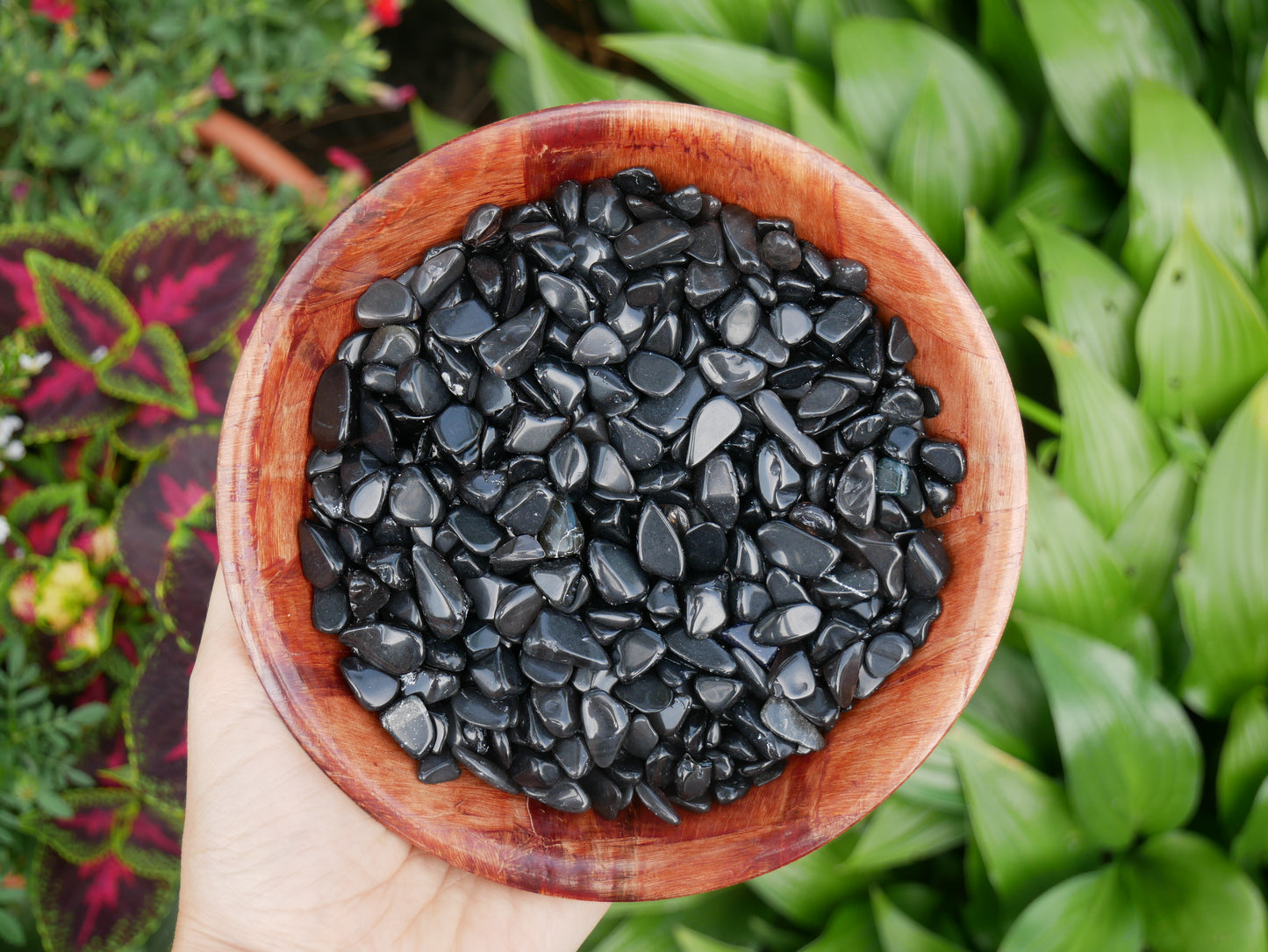 Black Obsidian Mini Stones - 1 LB