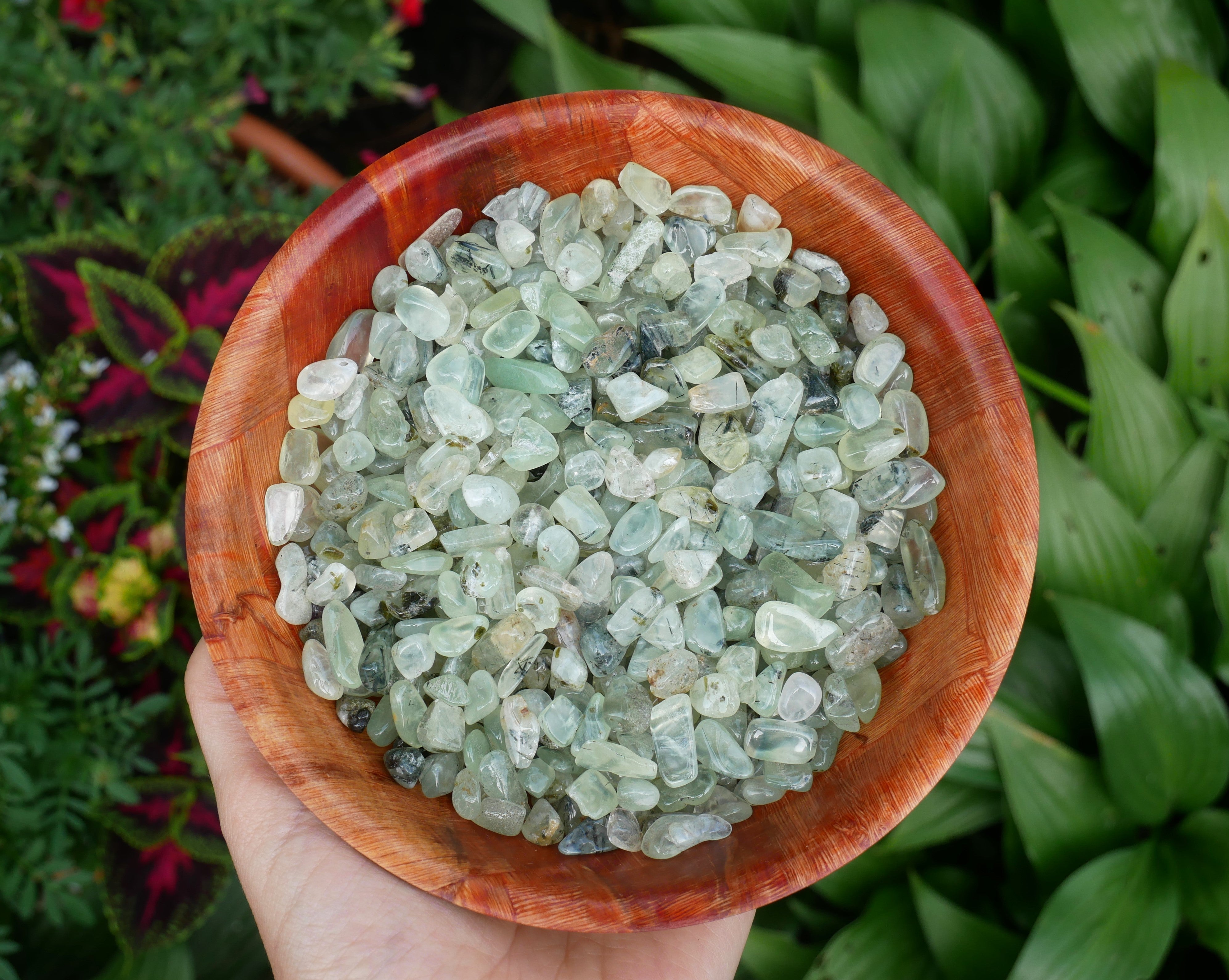 Mini Stones Prehnite Mini Stones - 1 LB – The Healing Sanctuary