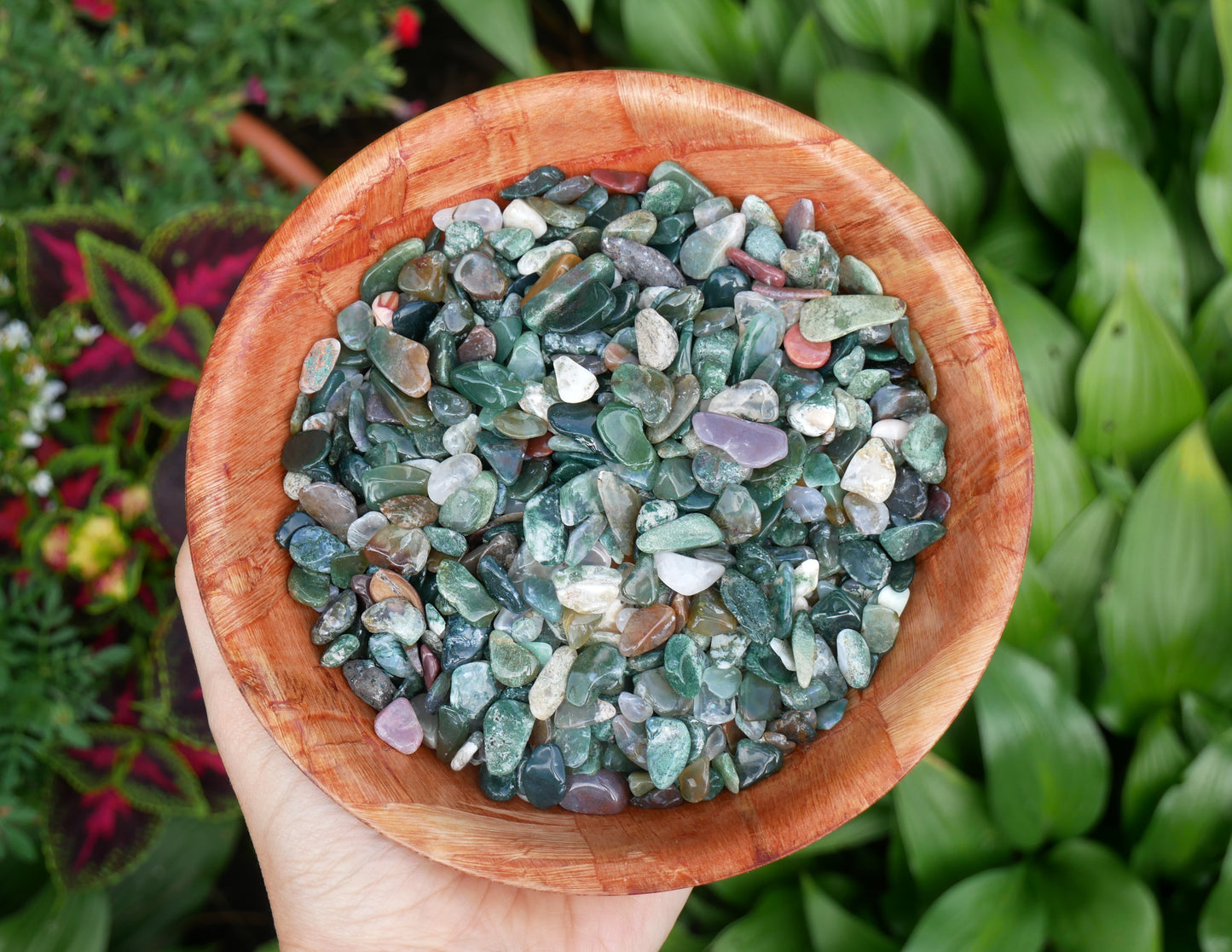 Moss Agate Mini Stones - 1 LB