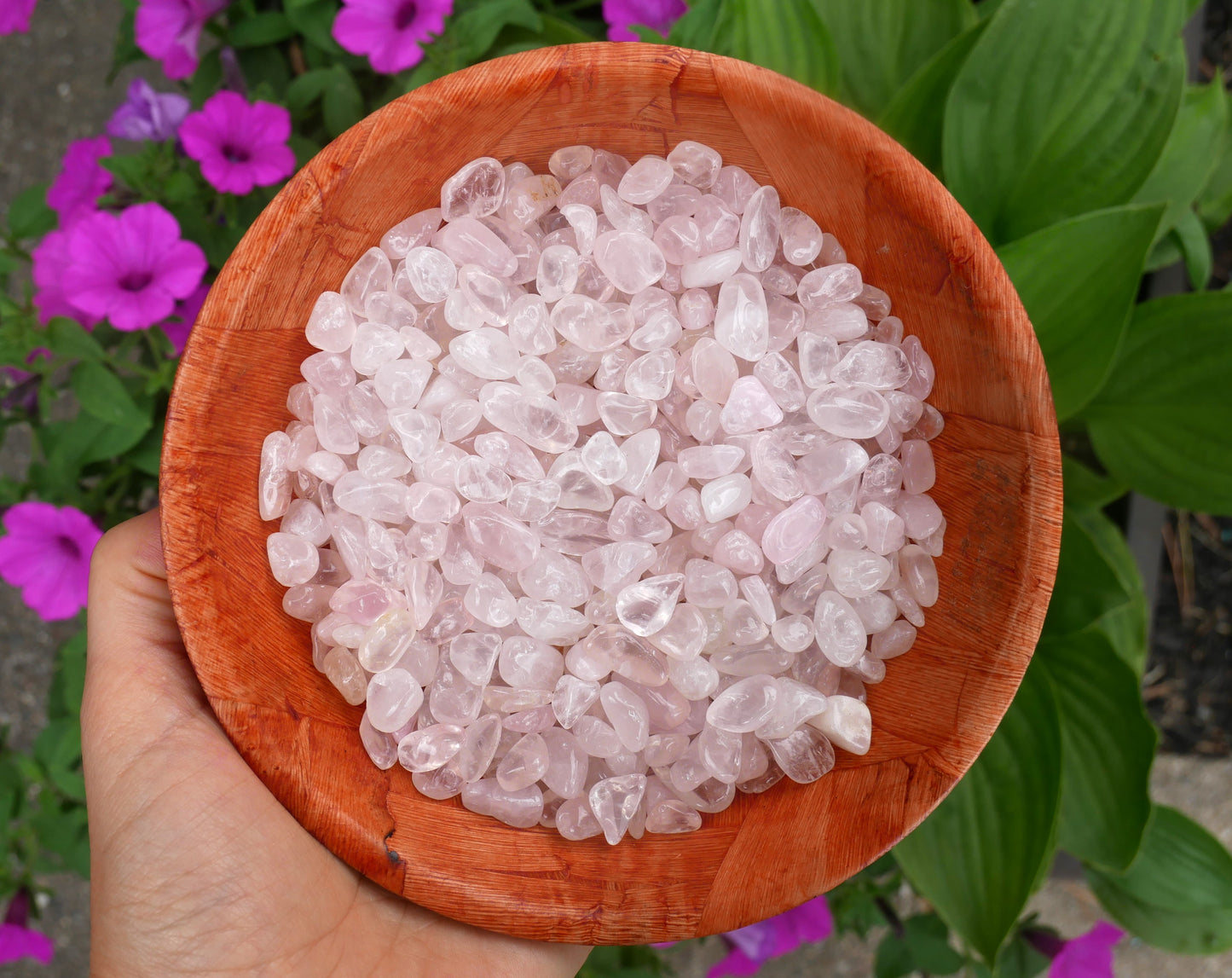 Rose Quartz Mini Stones - 1 LB