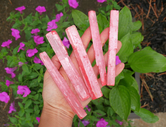 Selenite Pink Sticks - 1 LB