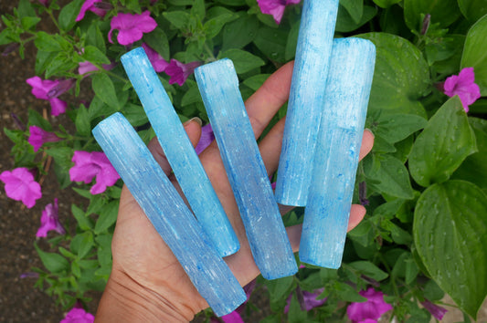 Selenite Blue Sticks