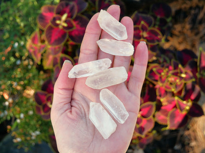 Lemurian points