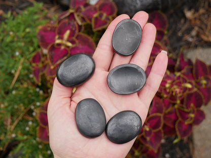 Shungite Worry Stones