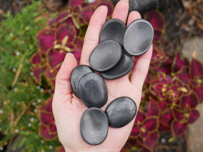 Shungite Worry Stones