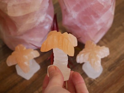 Selenite Palm Trees