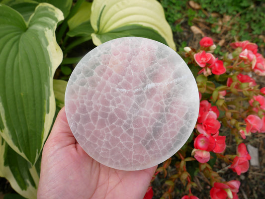 Selenite Circles - 4 inches