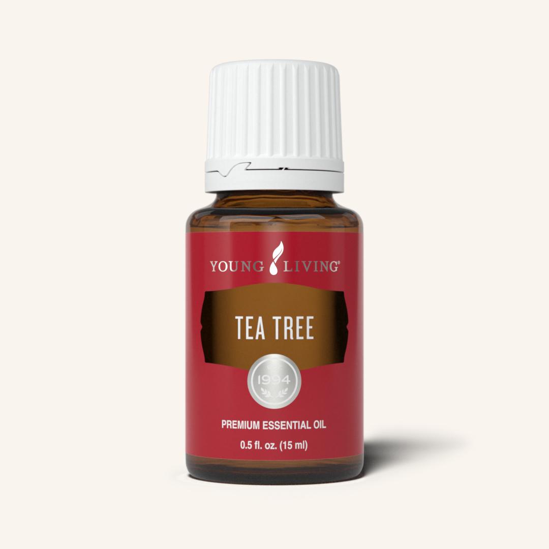 Tea Tree Young Living