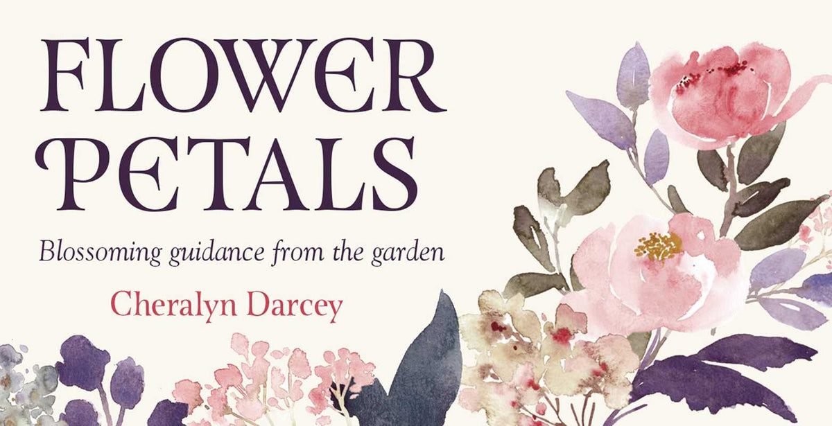 Flower Petals by Cheralyn Darcey: Flashcards; 40 pages / English