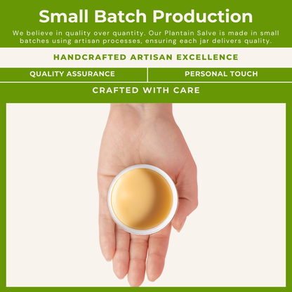 Plantain Salves: 0.25oz