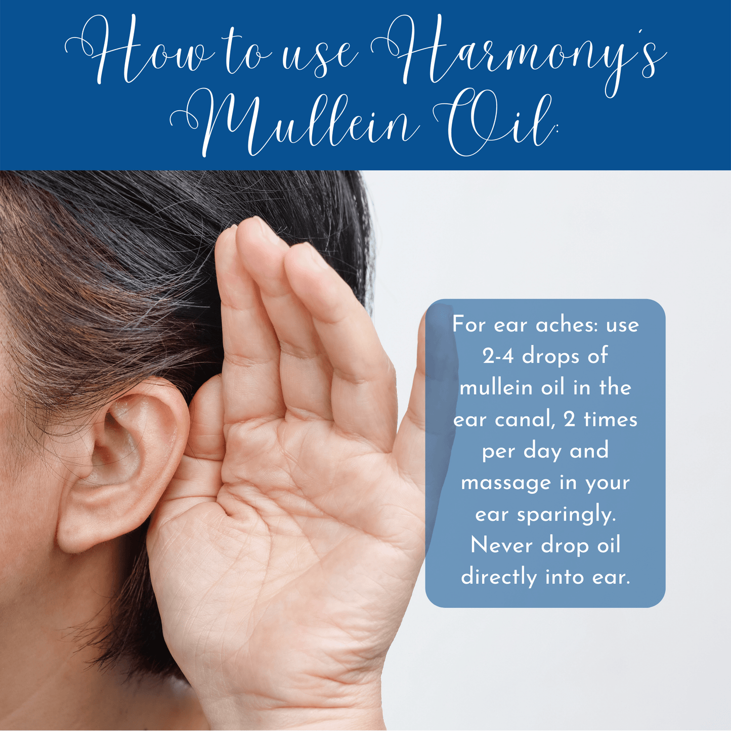 Mullein Oil - 1oz: Harmony's Mullein Oil
