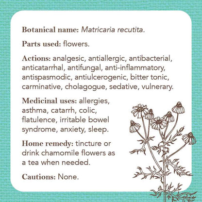 Apothecary Flashcards by Nicola McIntosh