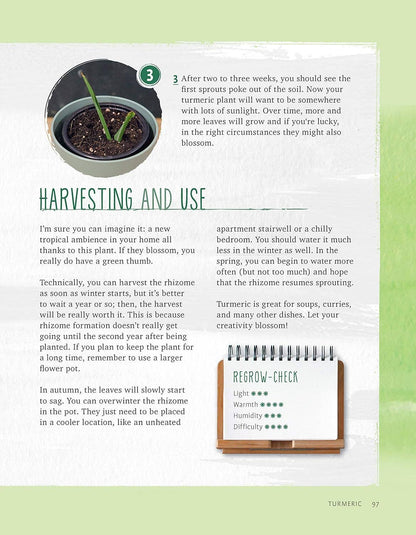 Regrow Your Veggies - Growing from Roots, Cuttings & Scraps