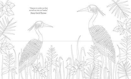 Joy of Mindfulness Coloring