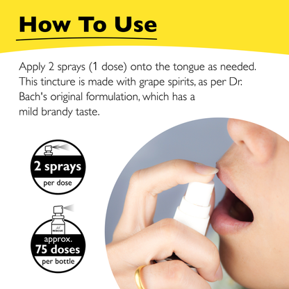 Bach Rescue Remedy Natural Stress Relief Spray