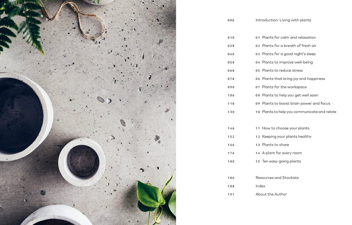 The Healing Power of Plants: Hardcover