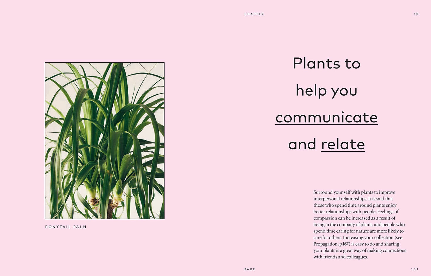 The Healing Power of Plants: Hardcover