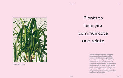 The Healing Power of Plants: Hardcover