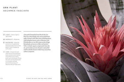 The Healing Power of Plants: Hardcover
