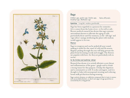 Healing Plants