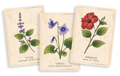 Herbal Tea Magic for the Modern Witch Oracle